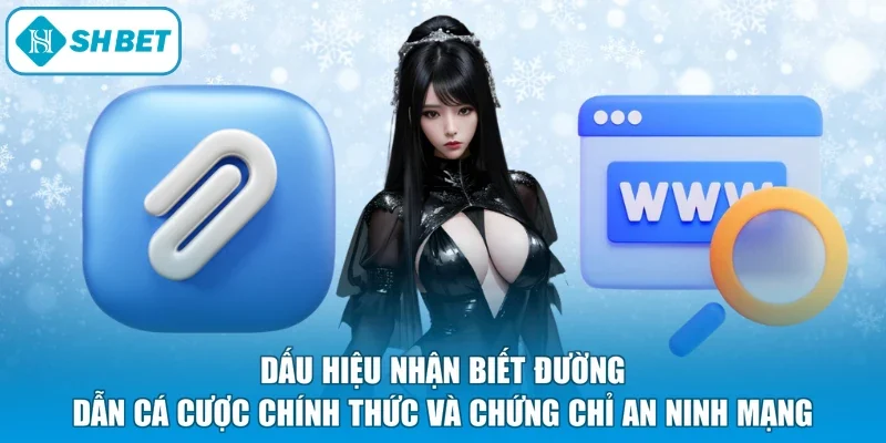 Dấu hiệu nhận biết đường dẫn cá cược chính thức và chứng chỉ an ninh mạng