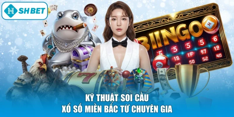 Kỹ thuật soi cầu xổ số miền Bắc từ chuyên gia